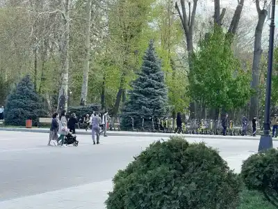 Виалаки - 14