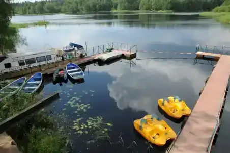 Дом с видом на лес - 358