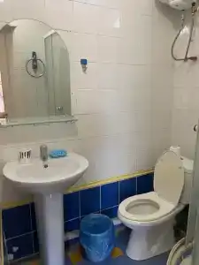 Кипарис - 168