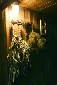 Шартруз Красное - сад, веранда и баня - 76