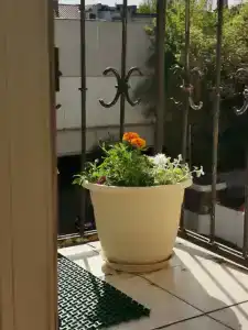 Квартиры на Независимости 23 - 237