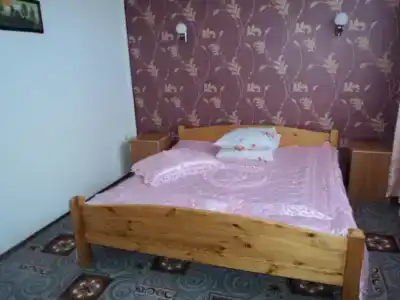 Ника - 120