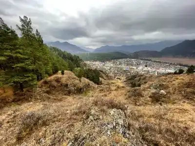 Altaypic - 21