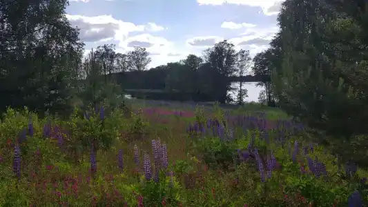 Домик на причале в Камено - 10