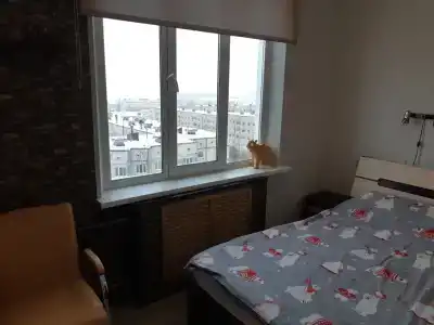 Квартиры на Олимпийской 53А - 228