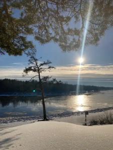 Уютный лесной домик со всеми удобствами в Полянках - 34