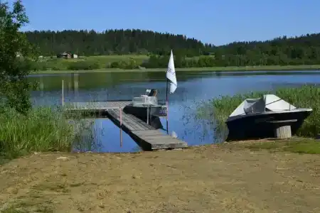 Барсятос - 45