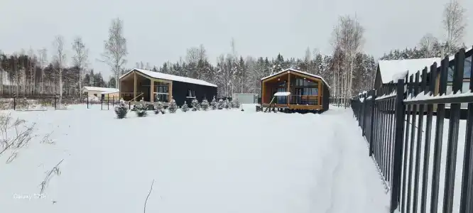 Мамонт на озере - 20
