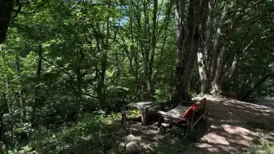 Златоречье - 14