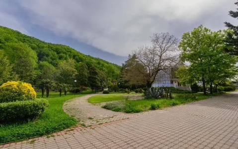 Тюльпан - 15
