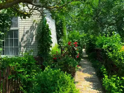Green House - 21