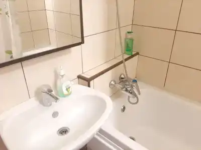 Apartment on Belinskogo 7V - 5