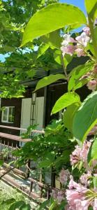 Светлана - 55