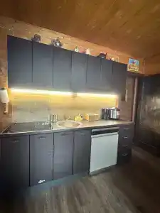 Карельский дом - 80