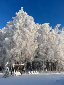Капитан - 9
