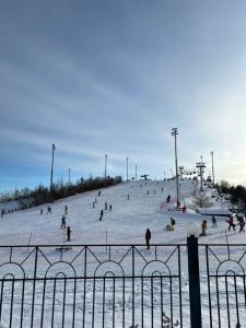 Усадьба Сорочаны - 104