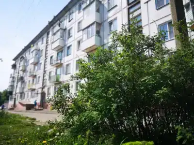 Калина на Кирова, 20 - 15