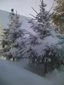 Коттедж у озера - 14