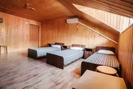 Виолетта - 54