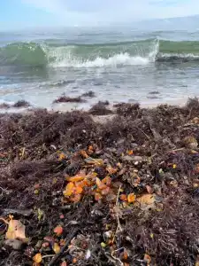 Приглашаю Вас в мою светлую, уютную однокомнатную квартиру ! - 23