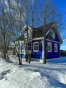 Синяя птица - 4