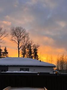 Дом в сосновом лесу - 48