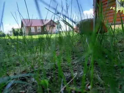 Гостевой дом в деревне Чернокуново - 3