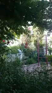 Синяя Птица - 5