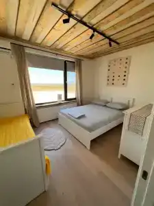 Фридом Веселовка - 137