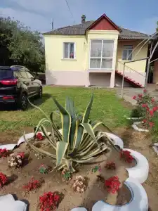 Дом на Пушкина, 8 - 1