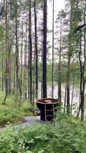 Руна леса - 124