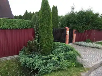 Гестхаус Кот Маркиз - 83