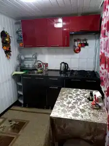 Ореховая роща - 0