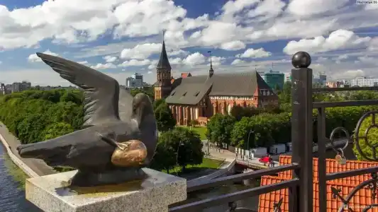 Квартиры на Московском 66 - 348
