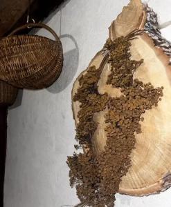 Уютный деревенский домик с русской баней возле озера в Большой Ухолоде - 40