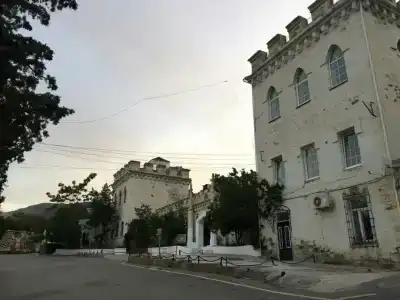 Рапана Башня Голицына - 9