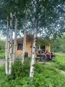 Дикая Клюква - 4