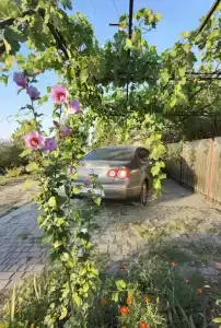 В гостях у сказки - 95