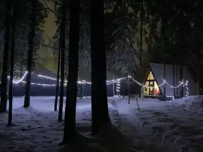 Эко дом в хвойном в лесу в ДПК Весна - 8