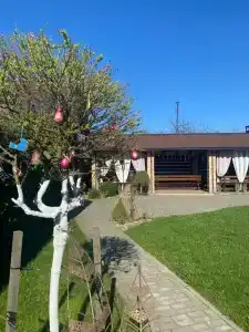 Светлазара - 50