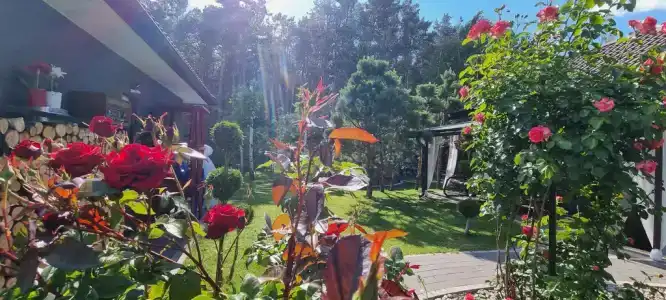 Brest Dream Gaden - 13