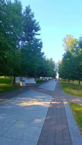 Apartment on Pritytskogo - 54