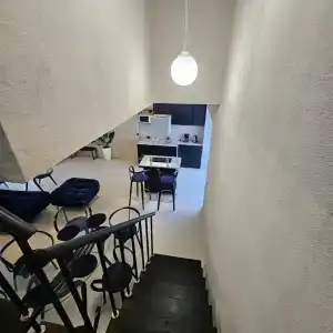 В гостях у леса - 4