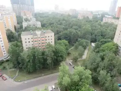 Sunny apartment 5 min from metro Belomorskaya - 30