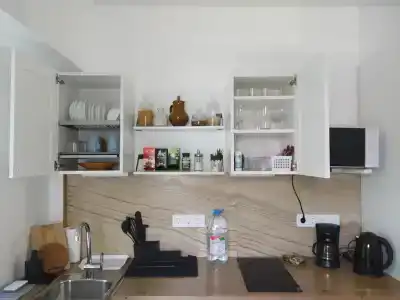 Уникальная квартира с отедельным входом - 12