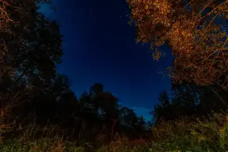 Юрум - 144