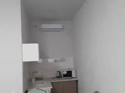 Магнолия - 25