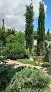 Пилигрим - 23