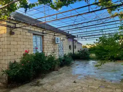 Ассорти - 103