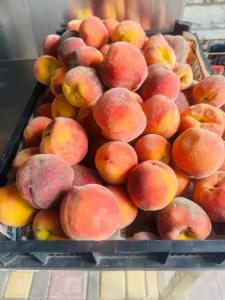 Вилла Нинель - 67